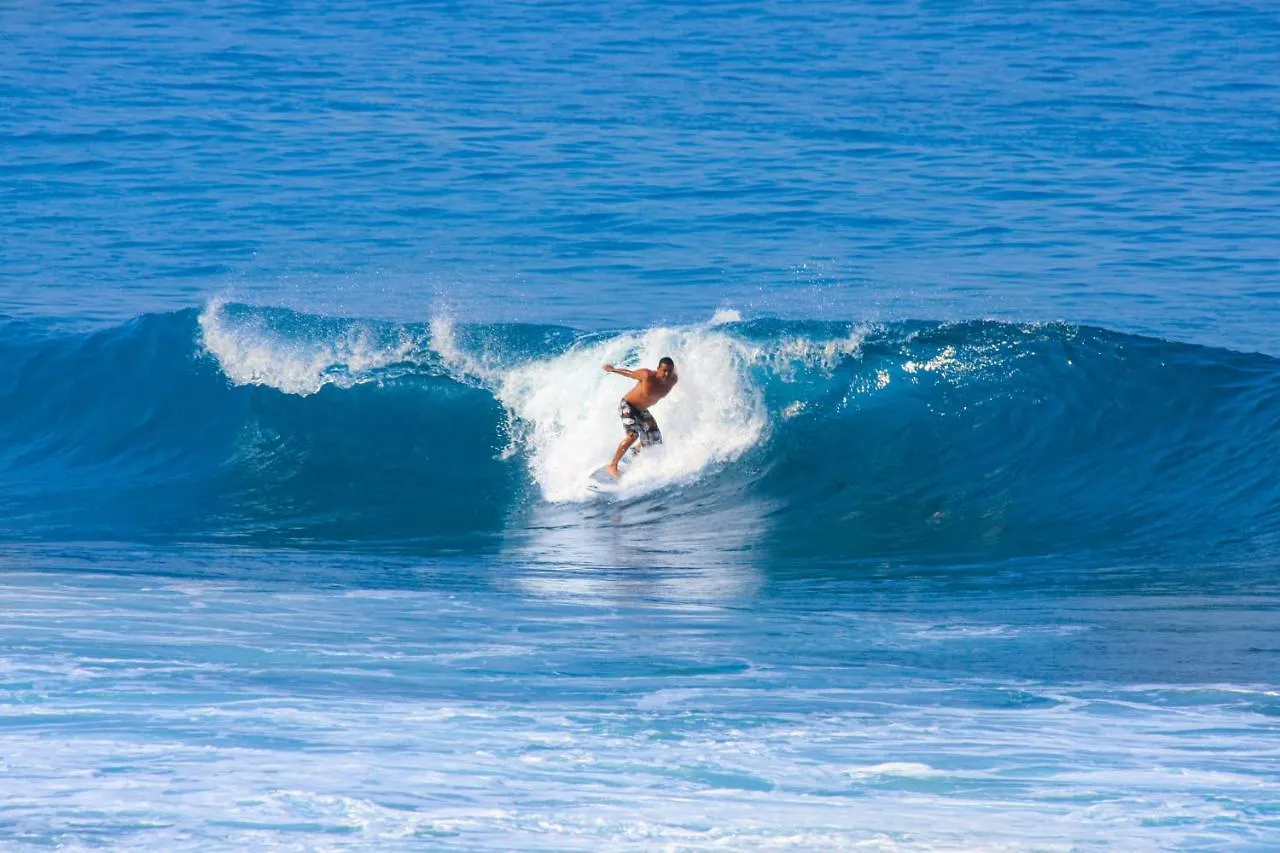 Kona Bali Kai #220 Lejlighed Kailua-Kona
