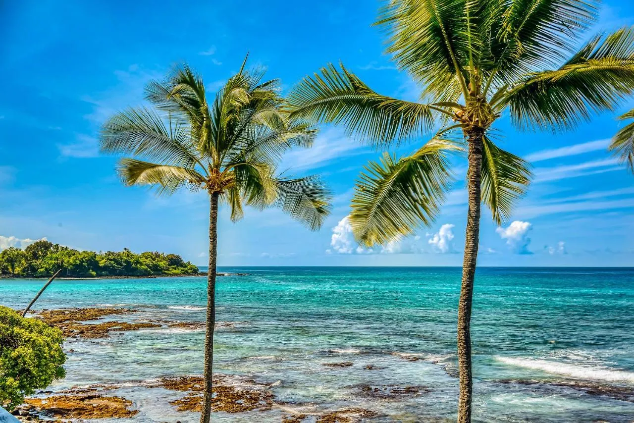 Kona Bali Kai #220 Lejlighed Kailua-Kona